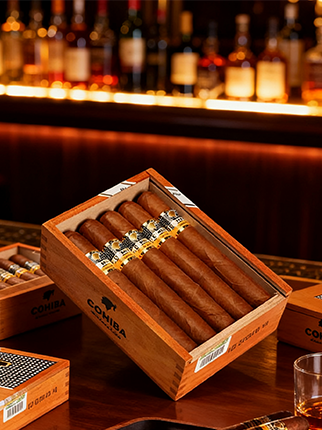 世紀系列6號 Siglo VI(10)