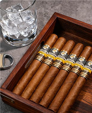 護身符Talismán -2017年度限量版(10)